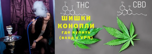 сатива Алексин