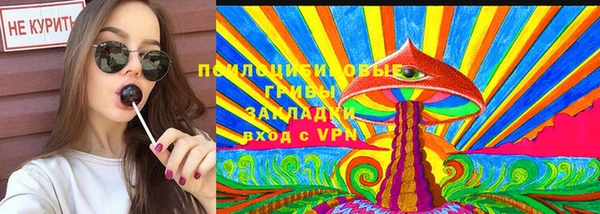 спиды Алзамай
