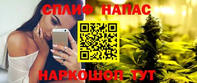 мяу мяу мука Нальчик
