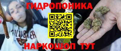 шишки Нарткала