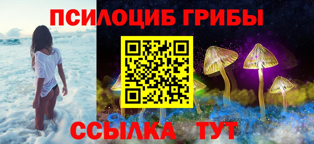 Псилоцибиновые грибы мицелий Елизово
