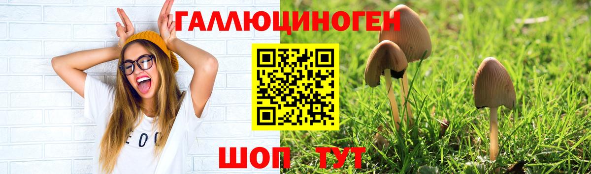 Галлюциногенные грибы мицелий  Вход с VPN  Галлюциногенные грибы ЛСД  Елизово 
